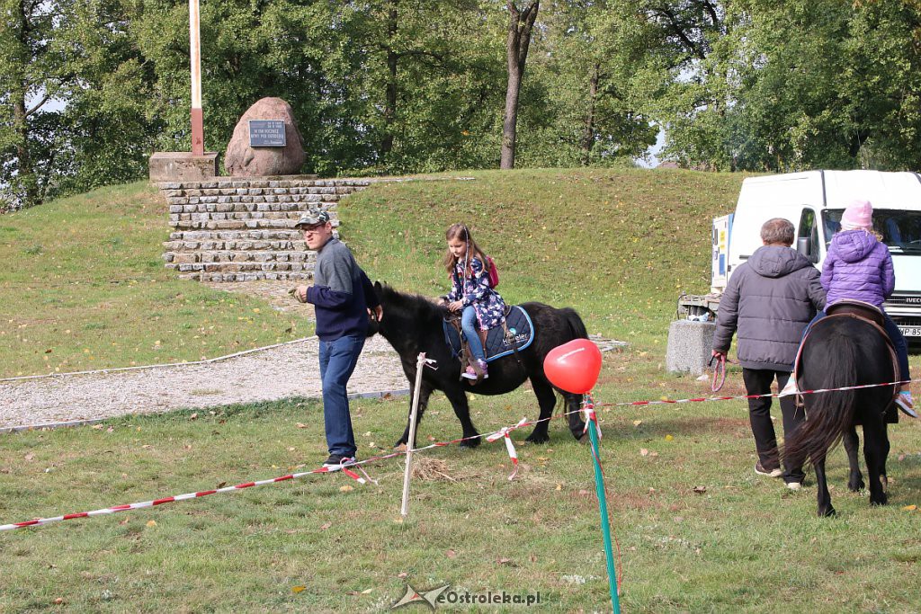 Piknik „Serdeczne Mazowsze” na Fortach Bema w Ostrołęce [28.09.2019] - zdjęcie #94 - eOstroleka.pl