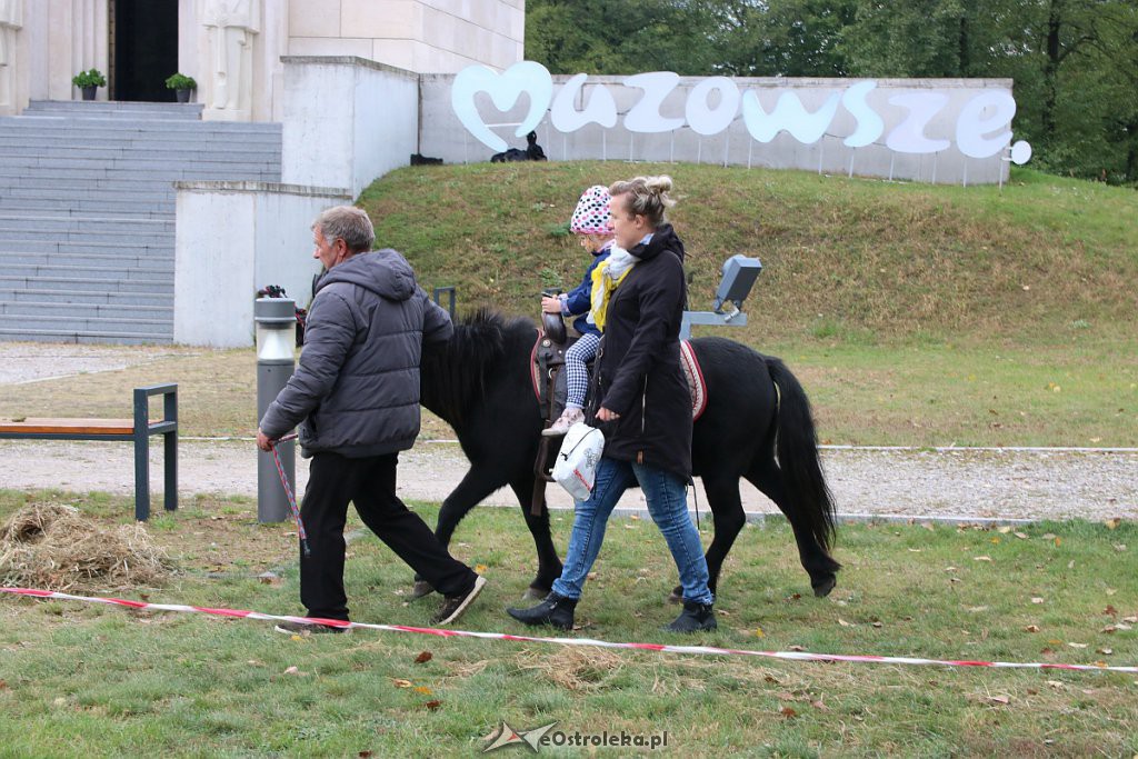 Piknik „Serdeczne Mazowsze” na Fortach Bema w Ostrołęce [28.09.2019] - zdjęcie #107 - eOstroleka.pl