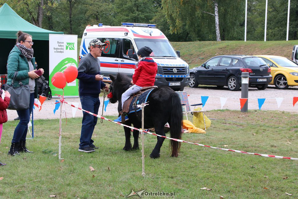 Piknik „Serdeczne Mazowsze” na Fortach Bema w Ostrołęce [28.09.2019] - zdjęcie #38 - eOstroleka.pl
