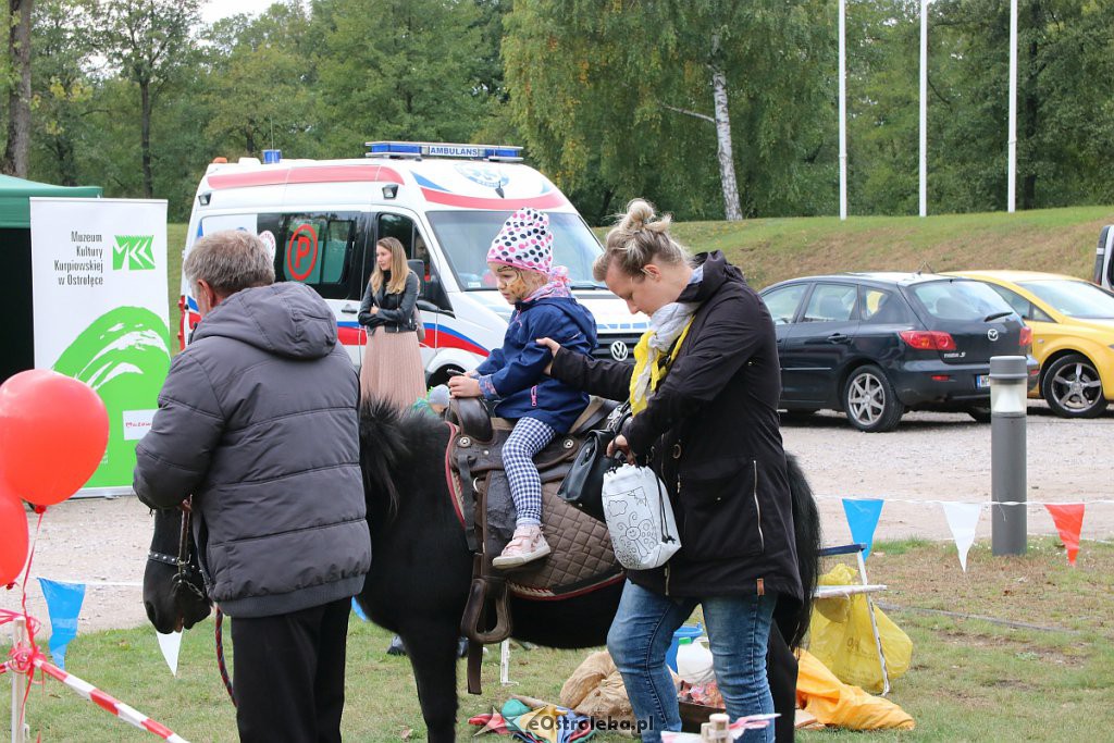 Piknik „Serdeczne Mazowsze” na Fortach Bema w Ostrołęce [28.09.2019] - zdjęcie #34 - eOstroleka.pl