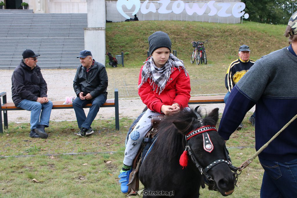 Piknik „Serdeczne Mazowsze” na Fortach Bema w Ostrołęce [28.09.2019] - zdjęcie #30 - eOstroleka.pl