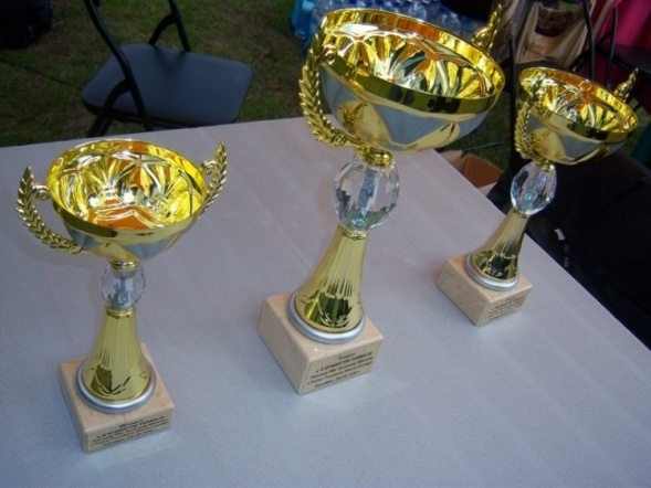 Turniej plażowej piłki siatkowej (04.09.2010) - zdjęcie #51 - eOstroleka.pl