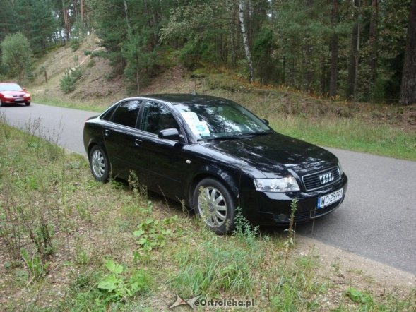 Rajd Honorowych Dawców Krwi (12.09.2010) - zdjęcie #56 - eOstroleka.pl