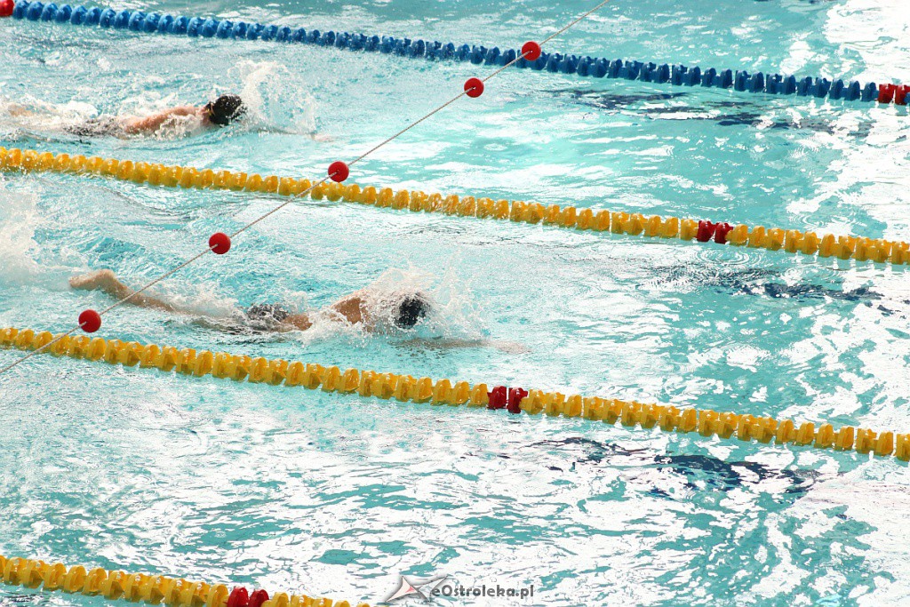Otwarte Mistrzostwa Ostrołęki w Pływaniu [26.10.2019] - zdjęcie #4 - eOstroleka.pl