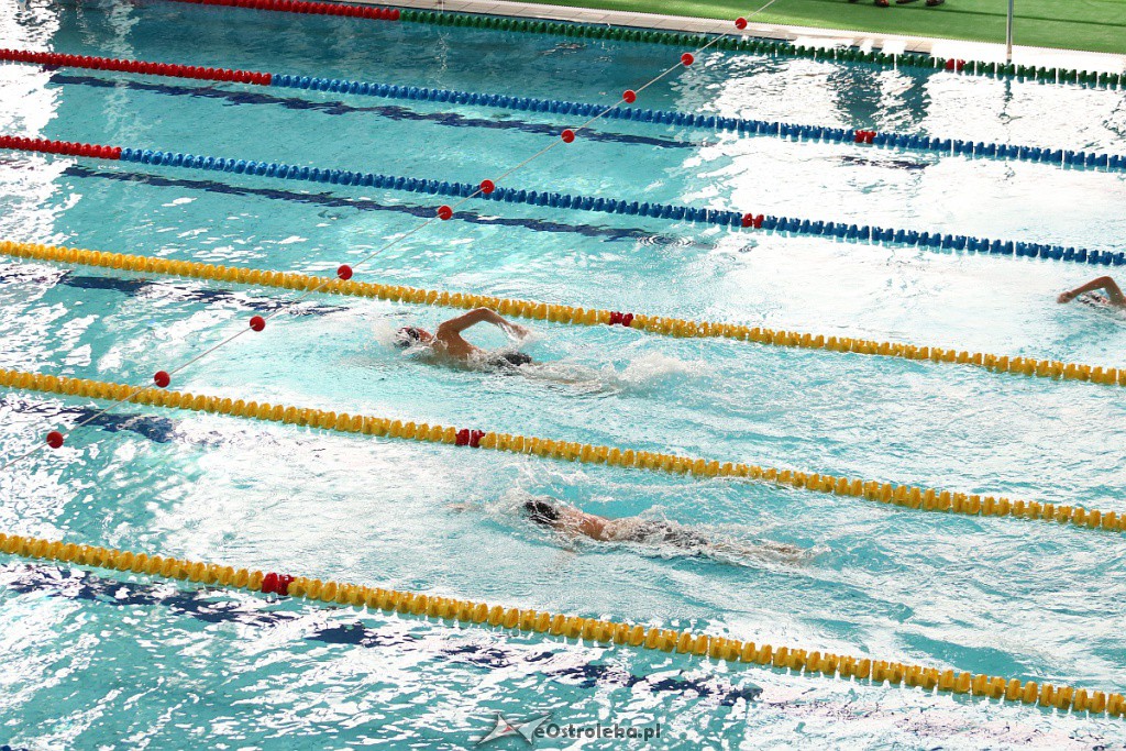 Otwarte Mistrzostwa Ostrołęki w Pływaniu [26.10.2019] - zdjęcie #6 - eOstroleka.pl