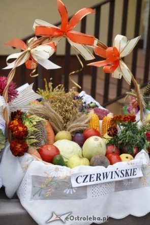 Dożynki w Baranowie (12.09.2010) - zdjęcie #31 - eOstroleka.pl