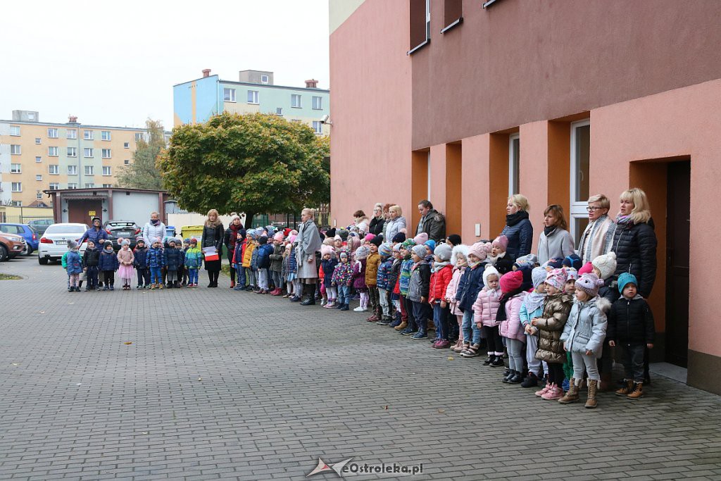 Pokaz musztry paradnej w adeptów z 2. SLO w Ostrołęce [08.11.2019] - zdjęcie #35 - eOstroleka.pl