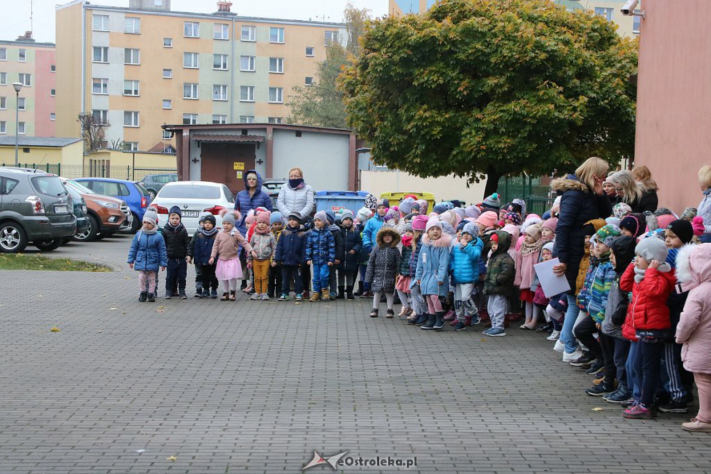 Pokaz musztry paradnej w adeptów z 2. SLO w Ostrołęce [08.11.2019] - zdjęcie #83 - eOstroleka.pl