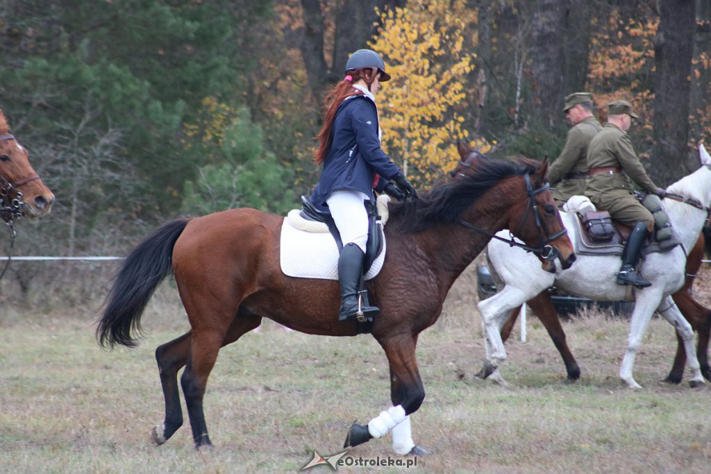 Hubertus 2019 [09.11.2019] - zdjęcie #158 - eOstroleka.pl