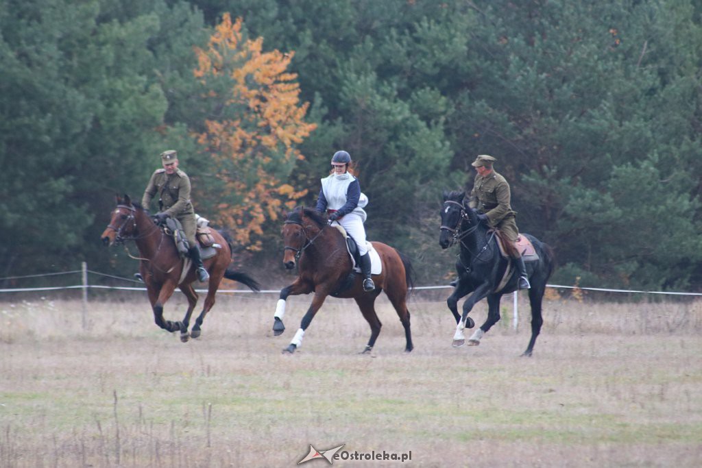 Hubertus 2019 [09.11.2019] - zdjęcie #162 - eOstroleka.pl