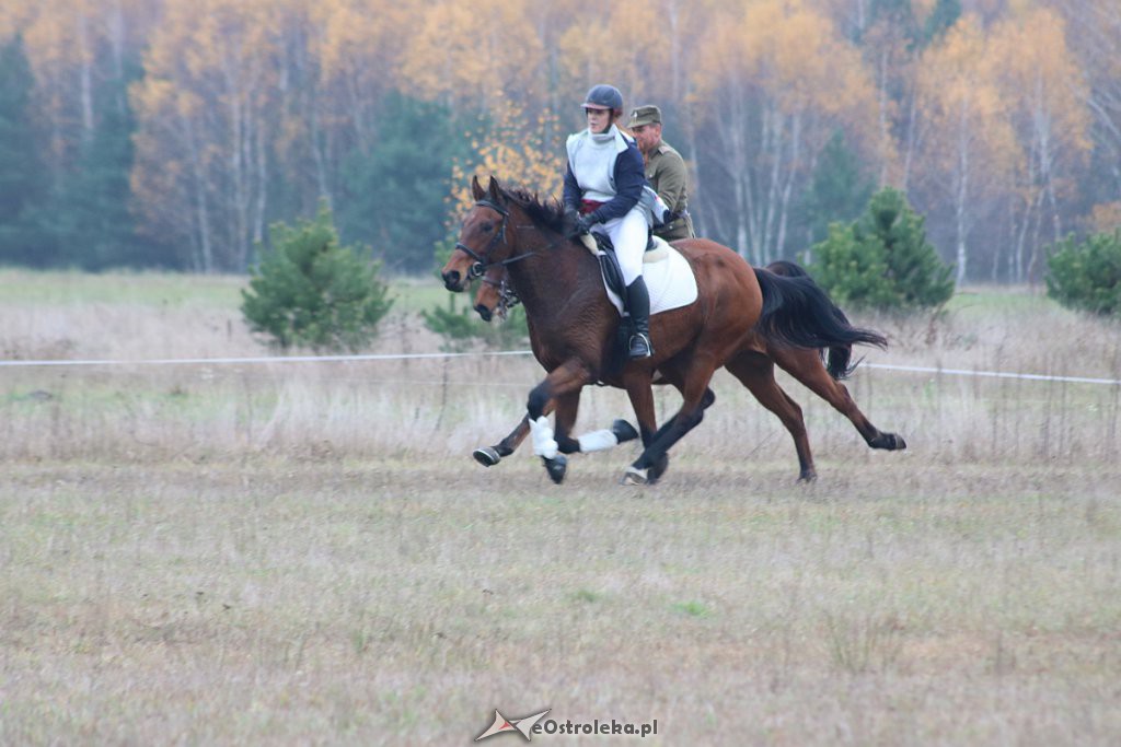 Hubertus 2019 [09.11.2019] - zdjęcie #165 - eOstroleka.pl