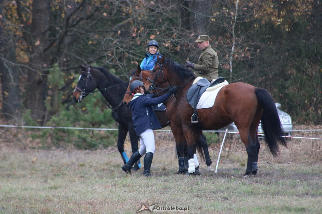 Hubertus 2019 [09.11.2019] - zdjęcie #166 - eOstroleka.pl