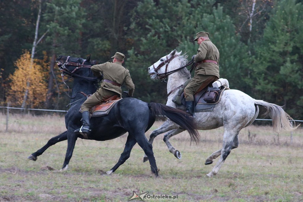 Hubertus 2019 [09.11.2019] - zdjęcie #167 - eOstroleka.pl