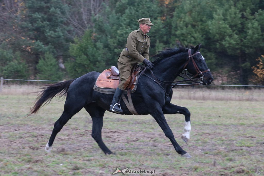 Hubertus 2019 [09.11.2019] - zdjęcie #169 - eOstroleka.pl