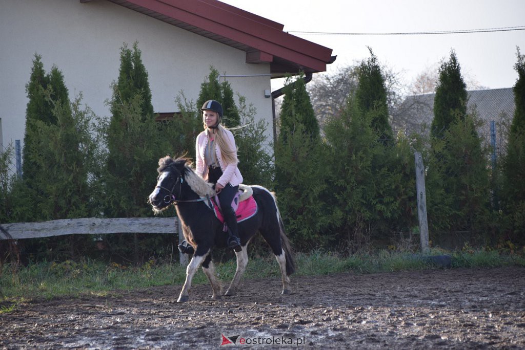 Hubertus 2019 w Mustangu [16.11.2019] - zdjęcie #11 - eOstroleka.pl