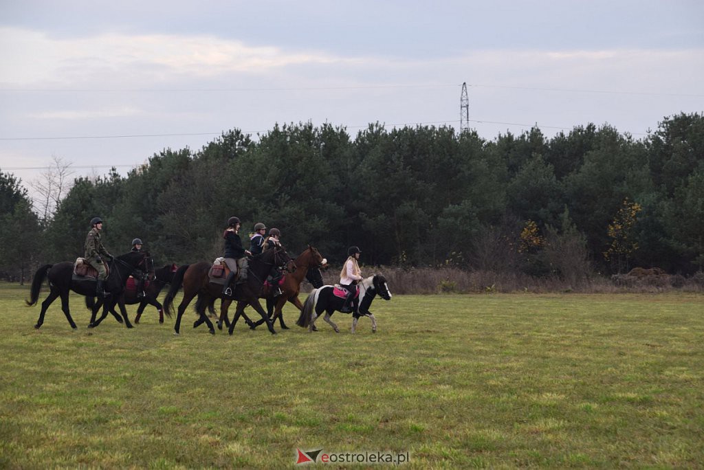 Hubertus 2019 w Mustangu [16.11.2019] - zdjęcie #36 - eOstroleka.pl