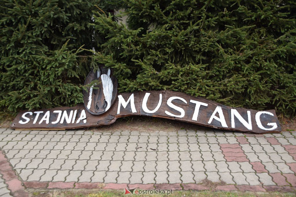 Hubertus 2019 w Mustangu [16.11.2019] - zdjęcie #45 - eOstroleka.pl
