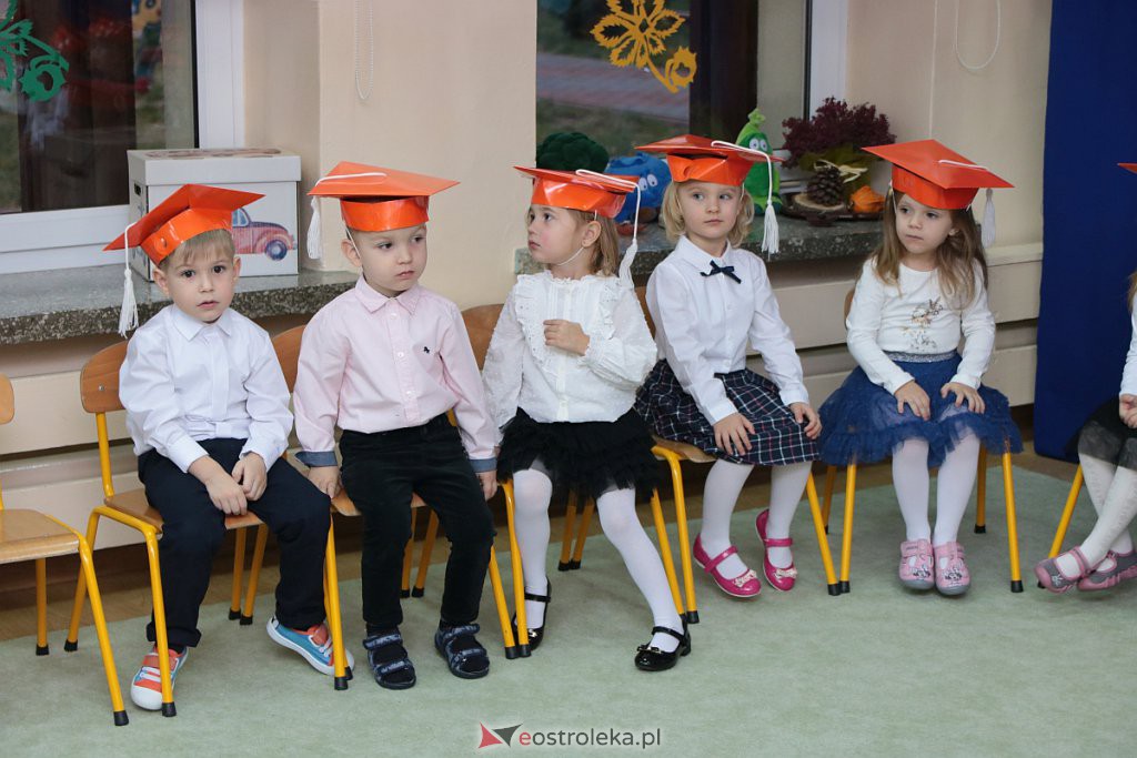 Pasowanie na przedszkolaka w „Krainie Misiów” [21.11.2019] - zdjęcie #2 - eOstroleka.pl