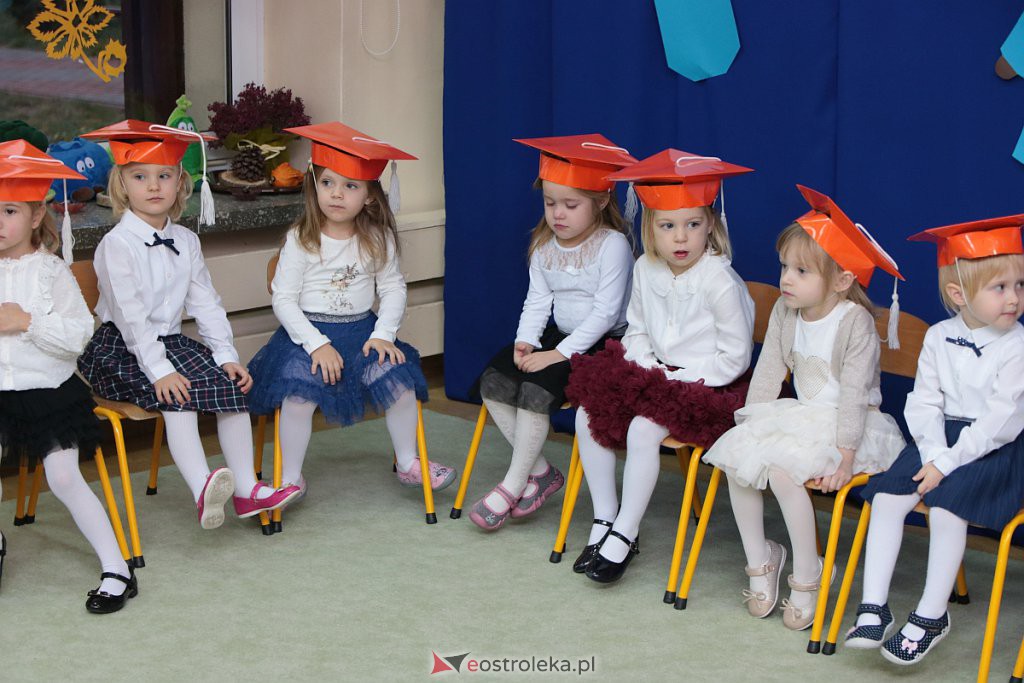 Pasowanie na przedszkolaka w „Krainie Misiów” [21.11.2019] - zdjęcie #3 - eOstroleka.pl