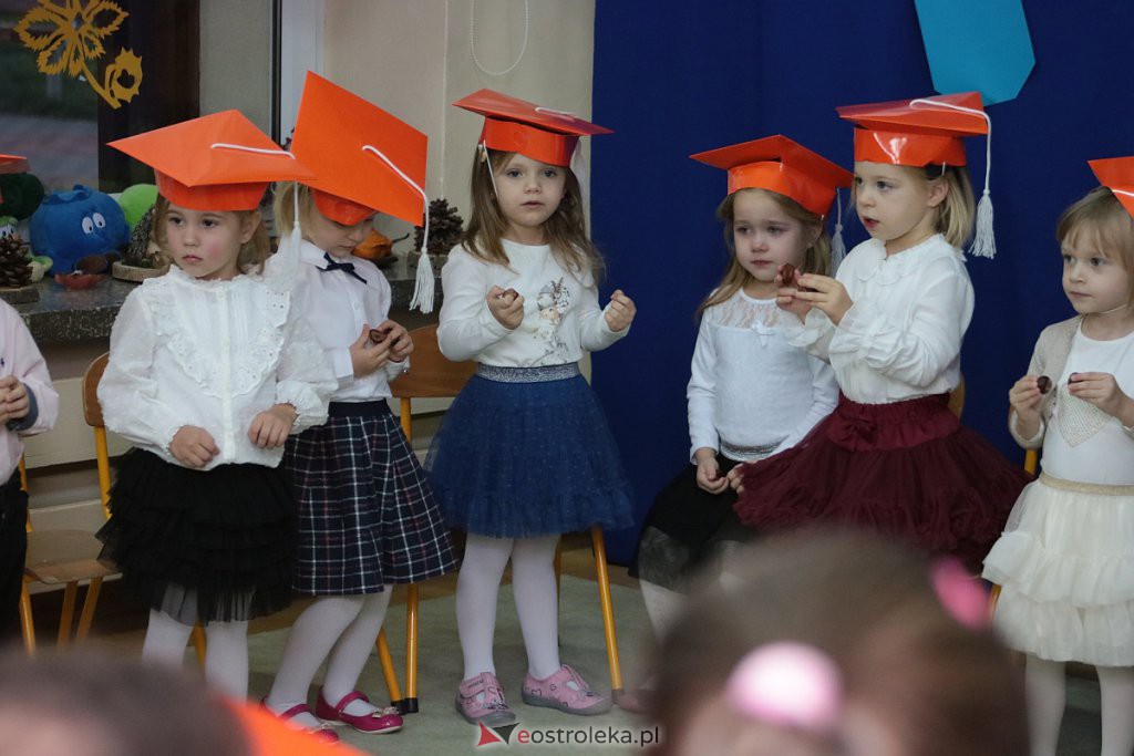 Pasowanie na przedszkolaka w „Krainie Misiów” [21.11.2019] - zdjęcie #20 - eOstroleka.pl