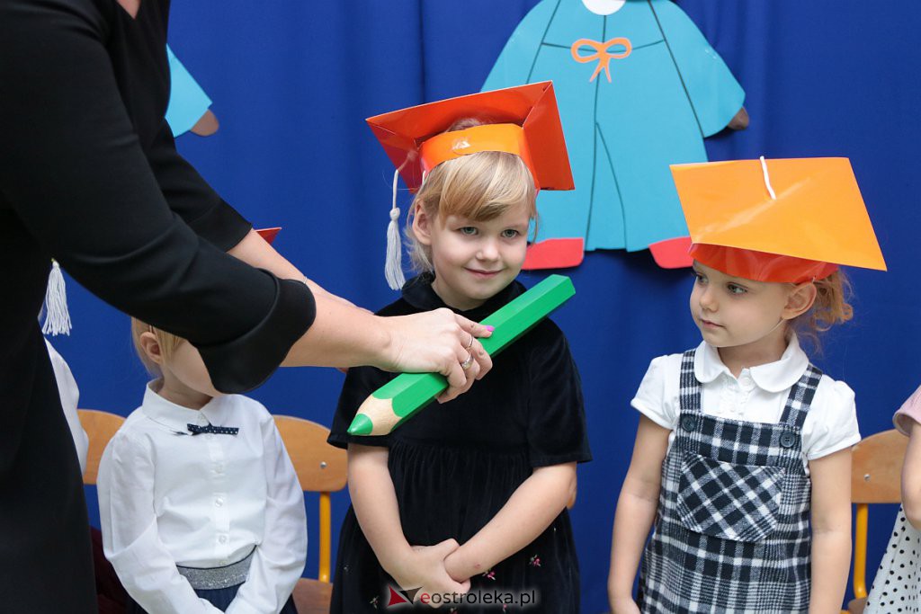 Pasowanie na przedszkolaka w „Krainie Misiów” [21.11.2019] - zdjęcie #18 - eOstroleka.pl