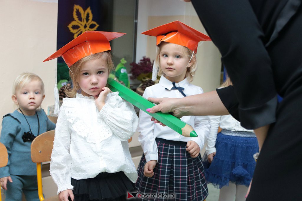 Pasowanie na przedszkolaka w „Krainie Misiów” [21.11.2019] - zdjęcie #12 - eOstroleka.pl