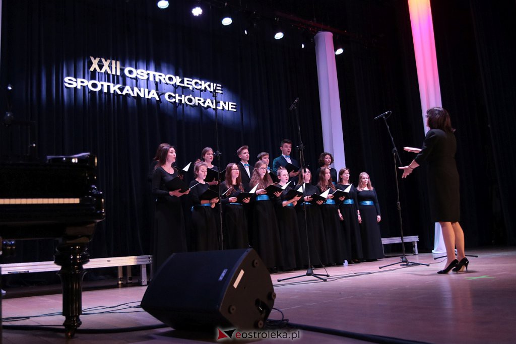 XXII Ostrołęckie Spotkania Chóralne w patriotycznym tonie [24.11.2019] - zdjęcie #7 - eOstroleka.pl