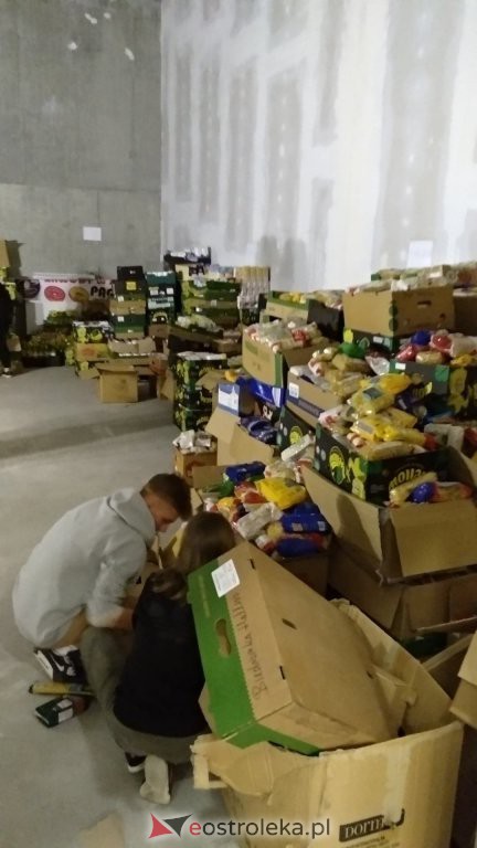 11. Świąteczna Zbiórka Żywności dobiegła końca [01.12.2019] - zdjęcie #144 - eOstroleka.pl