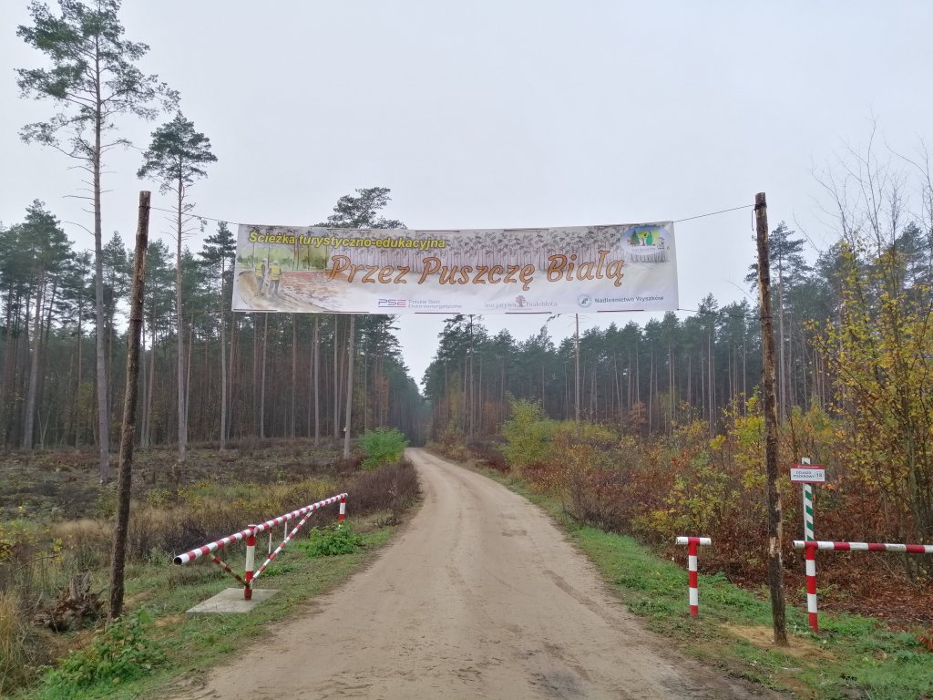 Mieszkańcy północnego Mazowsza już korzystają z 15 projektów społecznych sfinansowanych przez  Polskie  Sieci  Elektroenergetyczne - zdjęcie #7 - eOstroleka.pl