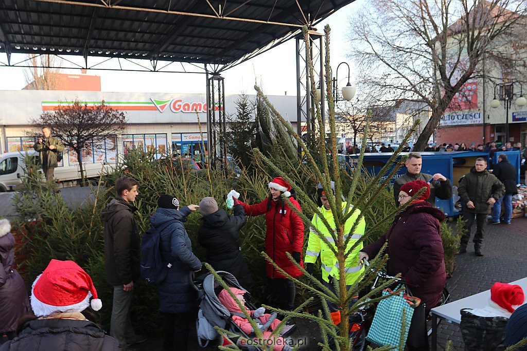 Choinki za makulaturę [20.12.2019] - zdjęcie #13 - eOstroleka.pl