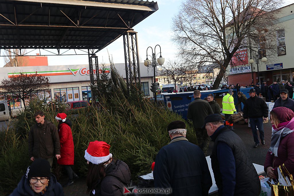 Choinki za makulaturę [20.12.2019] - zdjęcie #8 - eOstroleka.pl