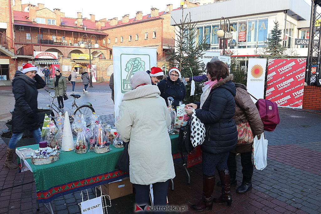 Choinki za makulaturę [20.12.2019] - zdjęcie #3 - eOstroleka.pl