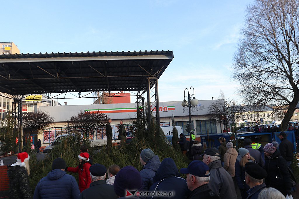 Choinki za makulaturę [20.12.2019] - zdjęcie #1 - eOstroleka.pl