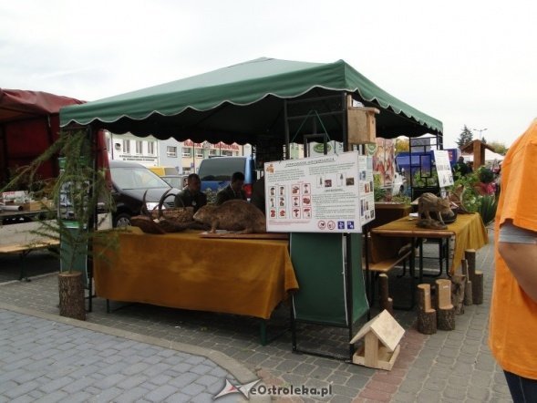 IV Targi Ekologiczne (26.09.2010) - zdjęcie #47 - eOstroleka.pl