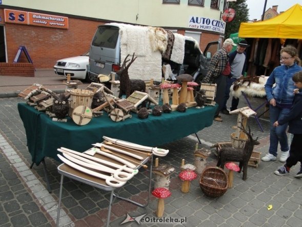 IV Targi Ekologiczne (26.09.2010) - zdjęcie #36 - eOstroleka.pl