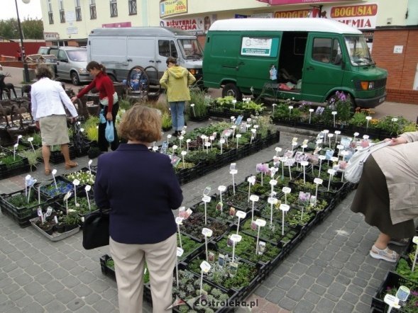 IV Targi Ekologiczne (26.09.2010) - zdjęcie #33 - eOstroleka.pl