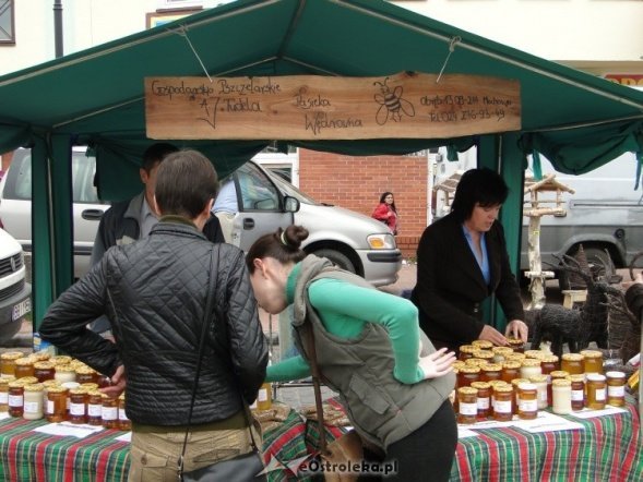 IV Targi Ekologiczne (26.09.2010) - zdjęcie #31 - eOstroleka.pl