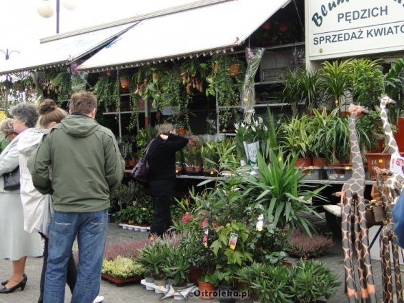 IV Targi Ekologiczne (26.09.2010) - zdjęcie #30 - eOstroleka.pl