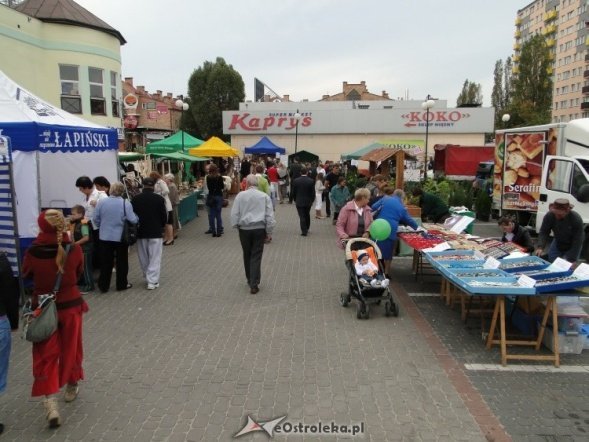IV Targi Ekologiczne (26.09.2010) - zdjęcie #29 - eOstroleka.pl