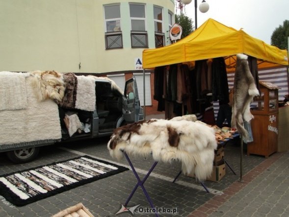 IV Targi Ekologiczne (26.09.2010) - zdjęcie #28 - eOstroleka.pl