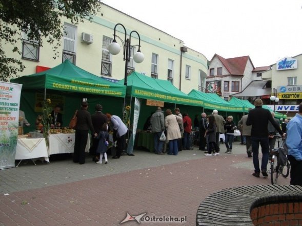 IV Targi Ekologiczne (26.09.2010) - zdjęcie #24 - eOstroleka.pl