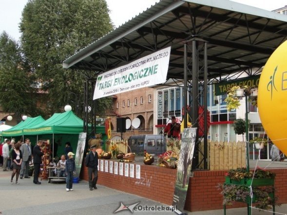 IV Targi Ekologiczne (26.09.2010) - zdjęcie #21 - eOstroleka.pl