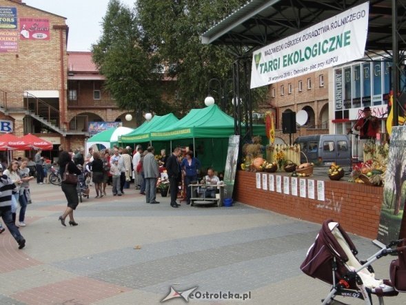 IV Targi Ekologiczne (26.09.2010) - zdjęcie #20 - eOstroleka.pl