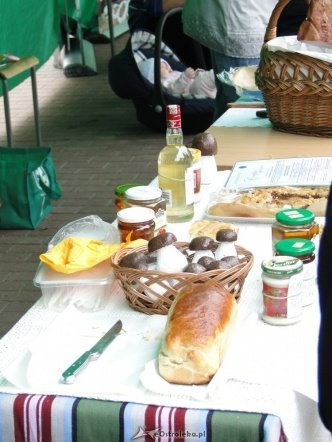 IV Targi Ekologiczne (26.09.2010) - zdjęcie #18 - eOstroleka.pl