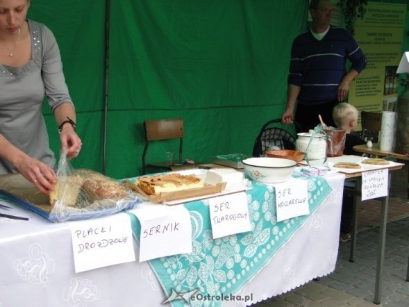 IV Targi Ekologiczne (26.09.2010) - zdjęcie #17 - eOstroleka.pl