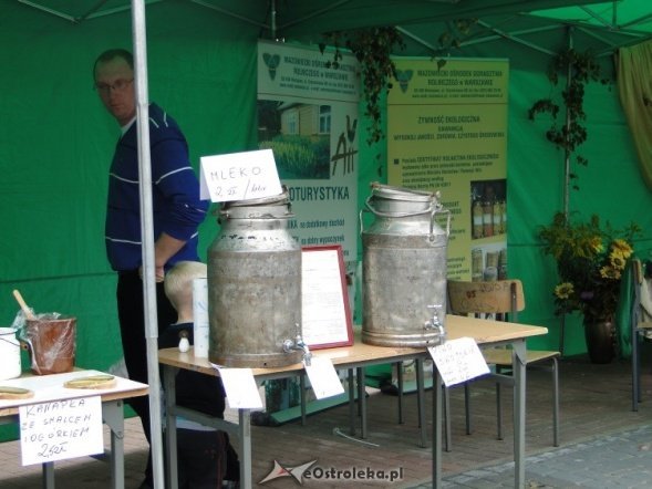 IV Targi Ekologiczne (26.09.2010) - zdjęcie #16 - eOstroleka.pl