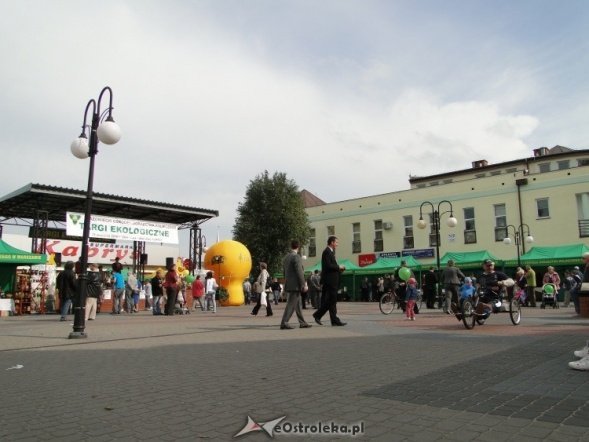 IV Targi Ekologiczne (26.09.2010) - zdjęcie #8 - eOstroleka.pl