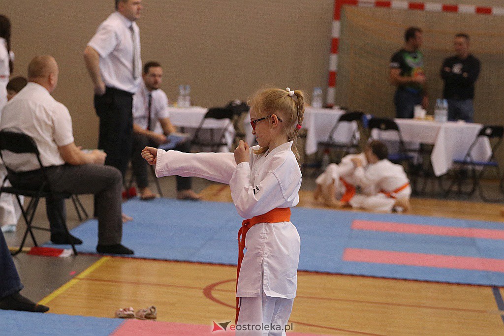 Noworoczny Turniej Karate w Ostrołęce [18.01.2020] - zdjęcie #17 - eOstroleka.pl