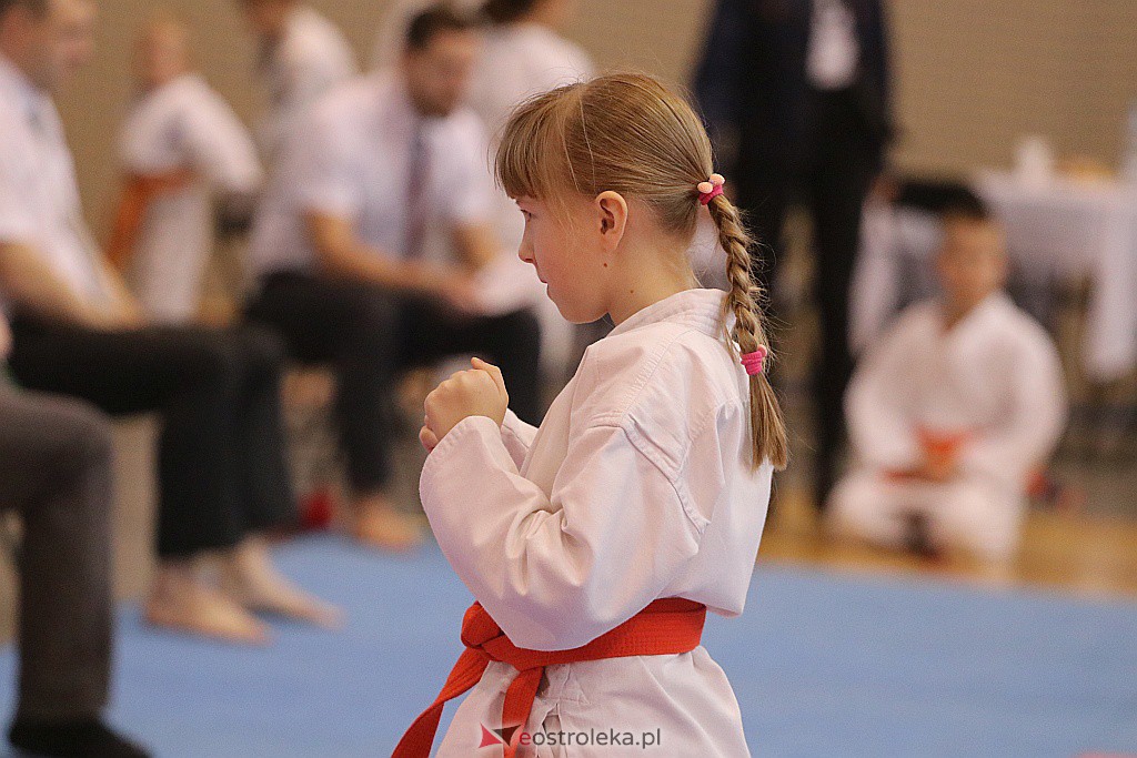 Noworoczny Turniej Karate w Ostrołęce [18.01.2020] - zdjęcie #23 - eOstroleka.pl