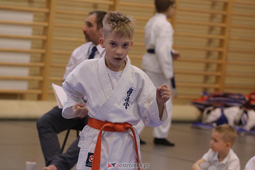 Noworoczny Turniej Karate w Ostrołęce [18.01.2020] - zdjęcie #28 - eOstroleka.pl